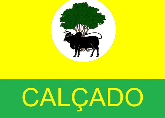 Calçado - PE
