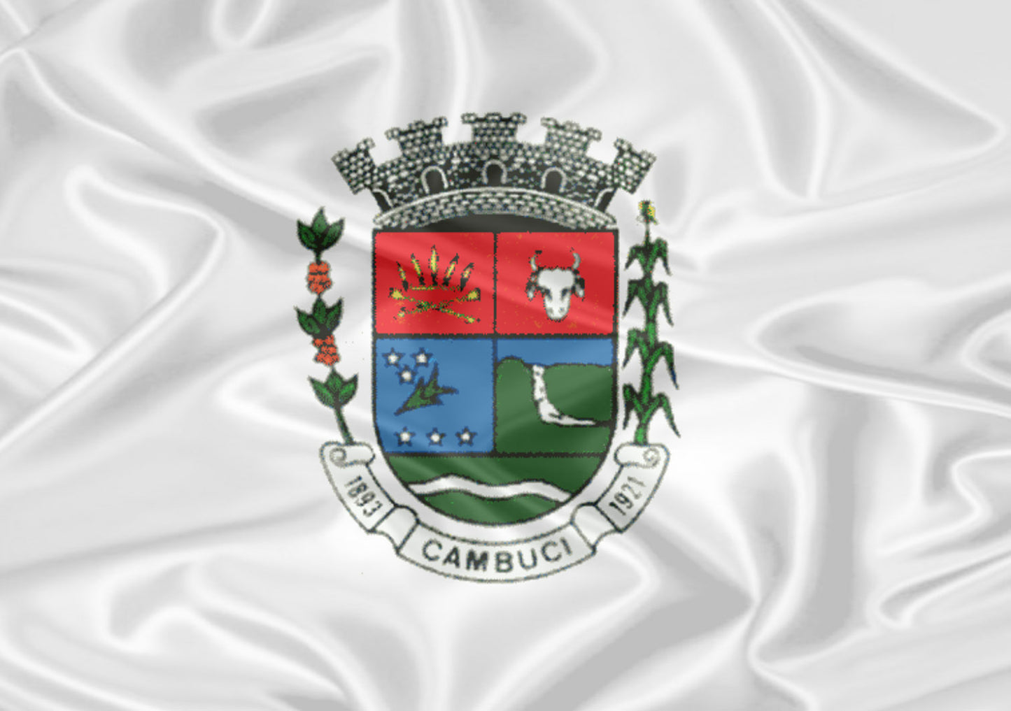 Imagem da Bandeira Cambuci