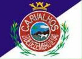 Carvalhos - MG
