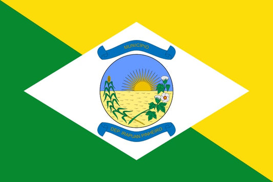 Deputado Irapuan Pinheiro - CE