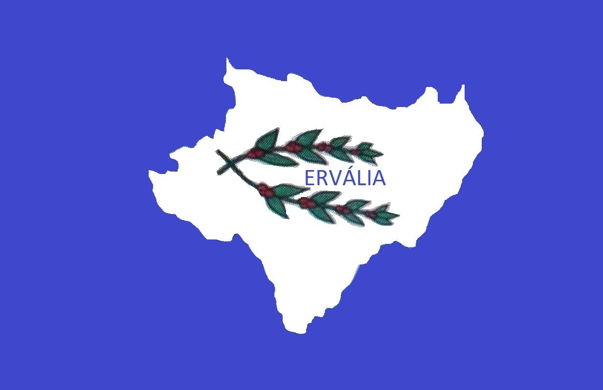 Ervália - MG