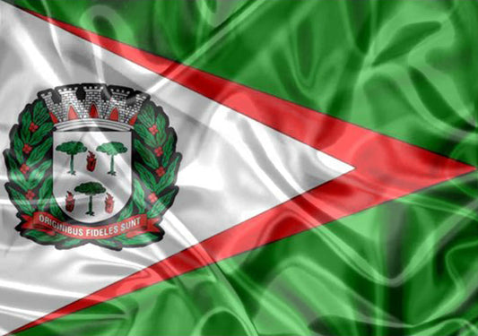 Imagem da Bandeira Espírito Santo do Pinhal