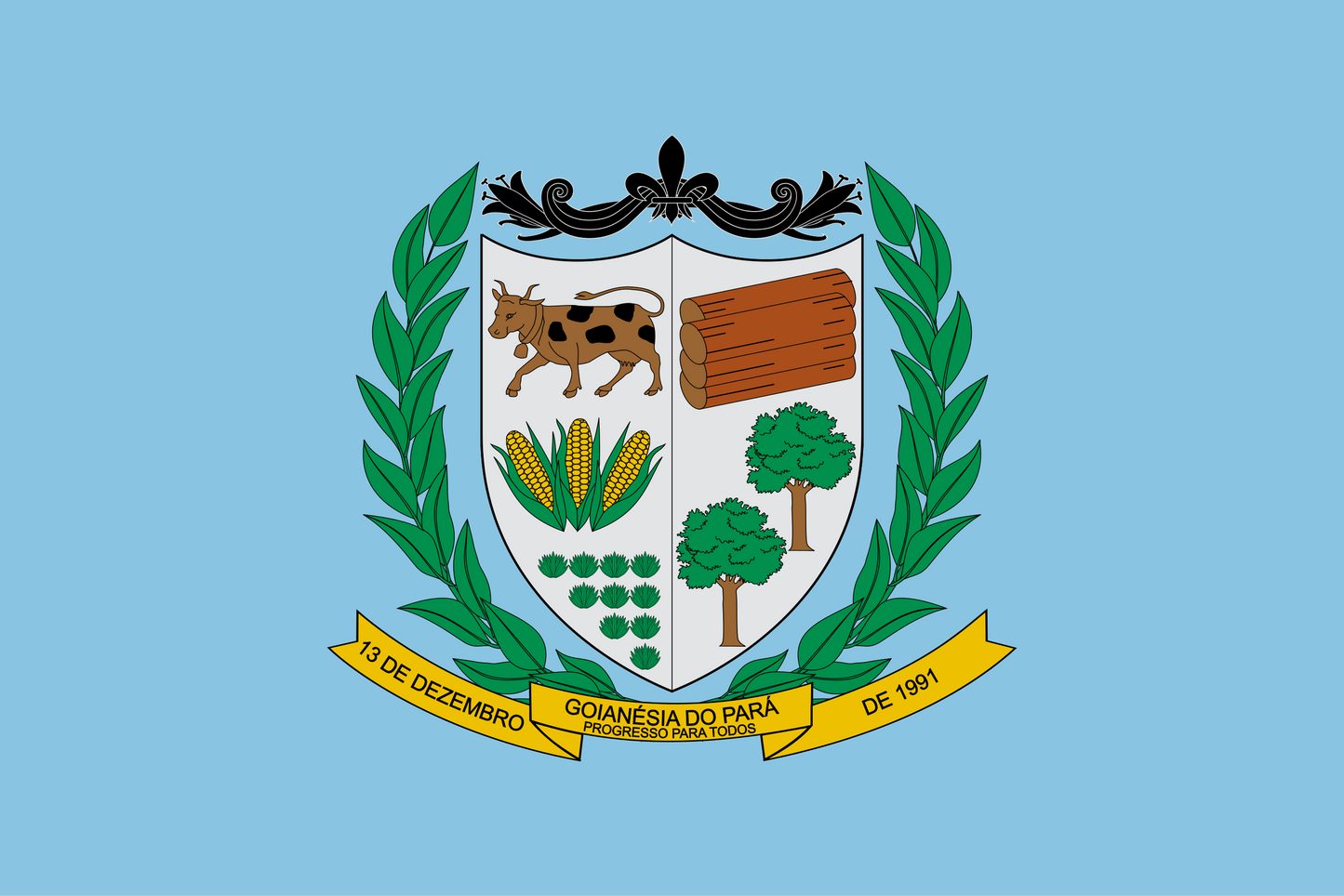 Goianésia do Pará - PA