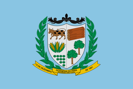 Goianésia do Pará - PA