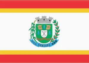 Gonzaga - MG