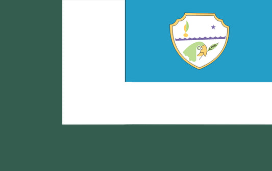 Limoeiro do Ajuru - PA