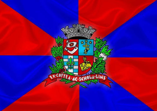 Imagem da Bandeira Lins