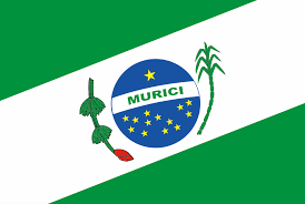 Imagem da Bandeira Murici