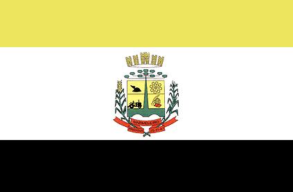 Marmeleiro - PR