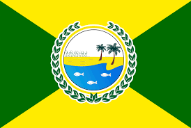Imagem da Bandeira Piaçabuçu