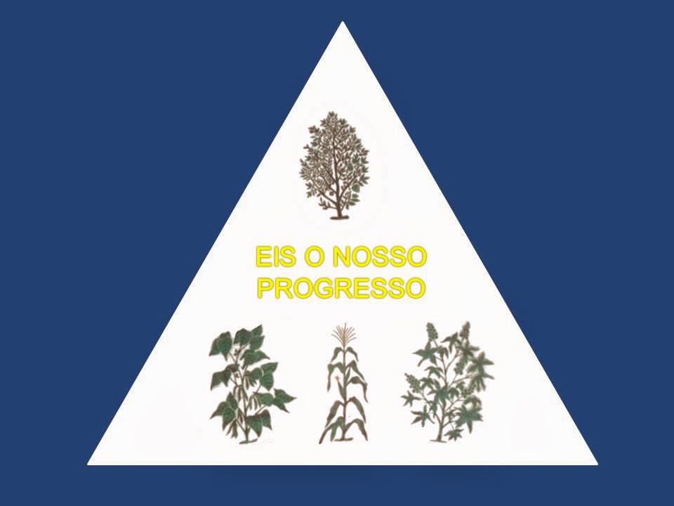 Presidente Dutra - BA