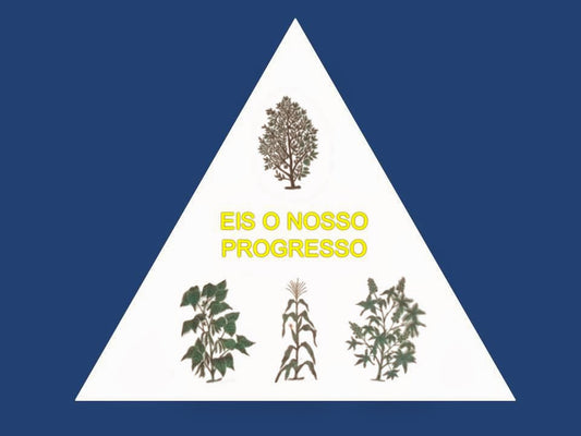 Presidente Dutra - BA