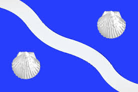 Imagem da Bandeira São João do Rio do Peixe