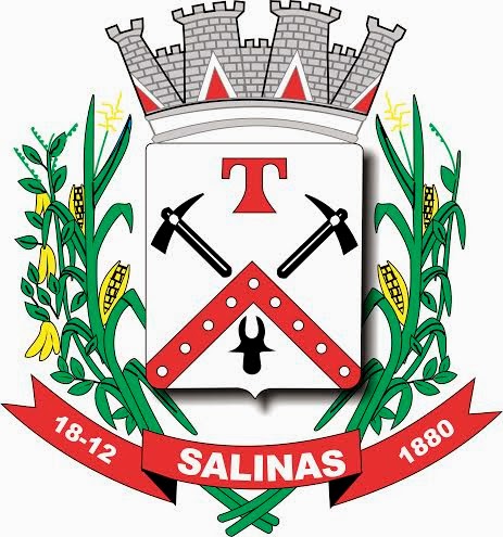 Salinas - MG