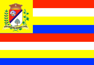 São João do Ivaí - PR