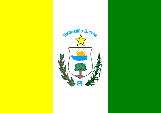 Sebastião Barros - PI