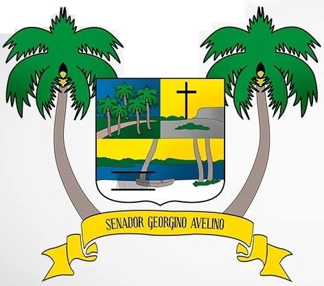 Senador Georgino Avelino - RN
