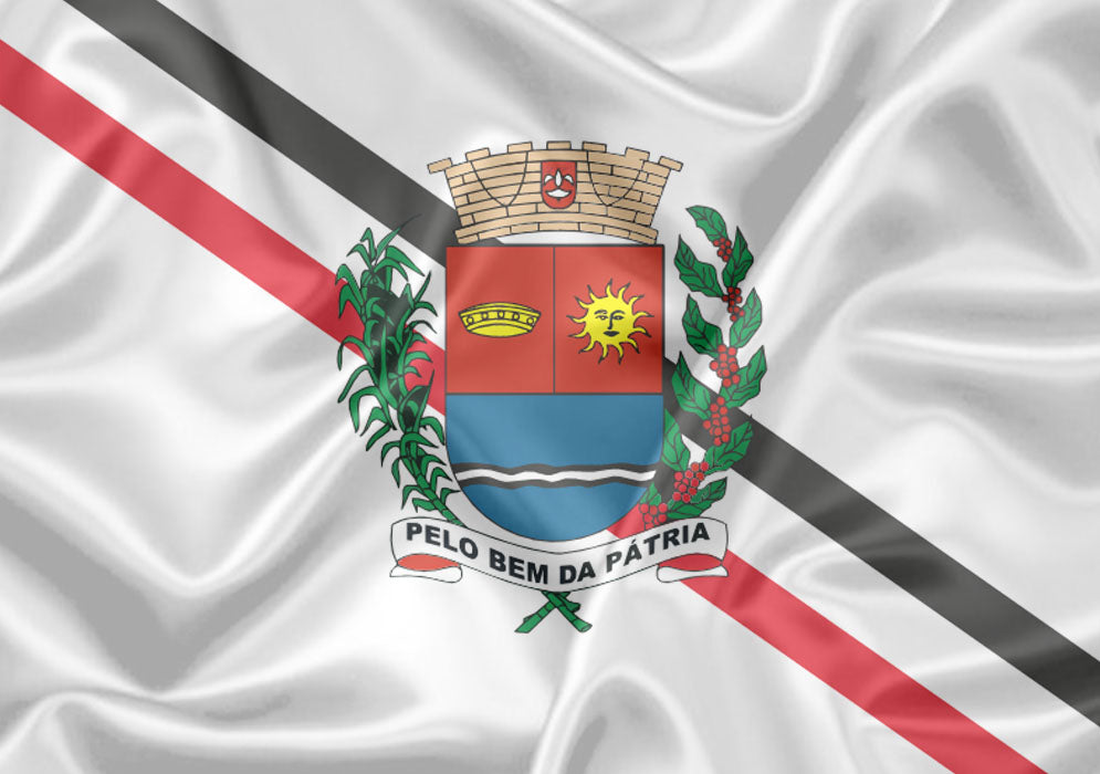 Imagem da Bandeira Araras