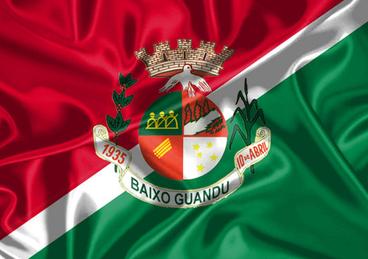 Imagem da Bandeira Baixo Guandu
