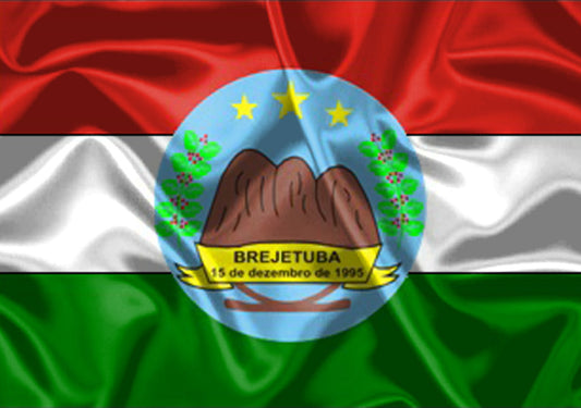 Imagem da Bandeira Brejetuba