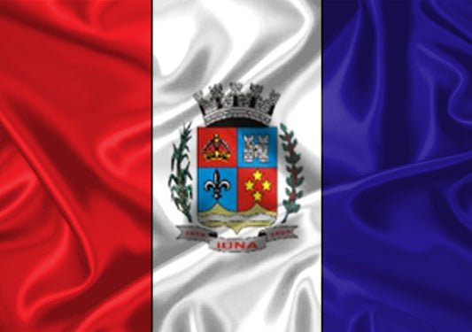 Imagem da Bandeira Iúna