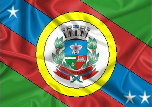 Imagem da Bandeira Marechal Floriano
