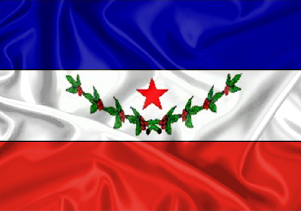 Imagem da Bandeira Muqui