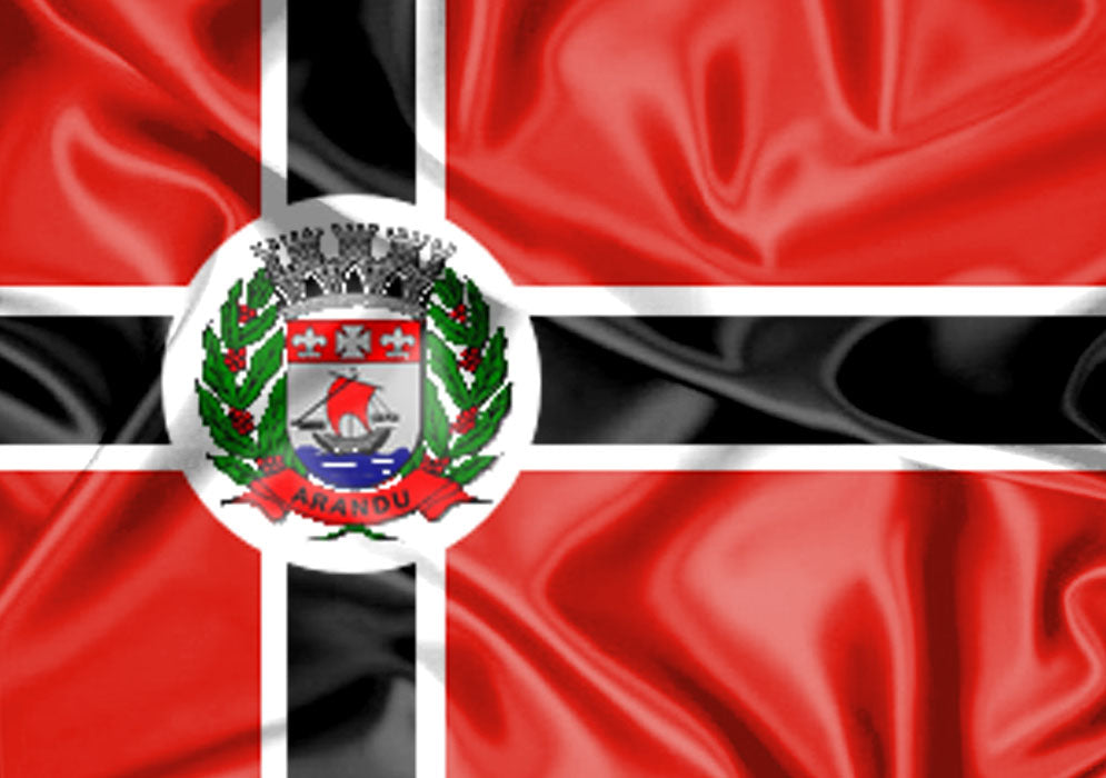 Imagem da Bandeira Arandu