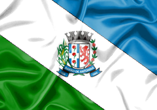 Imagem da Bandeira Barão de Antonina