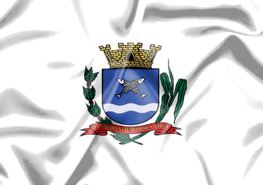 Imagem da Bandeira Barrinha