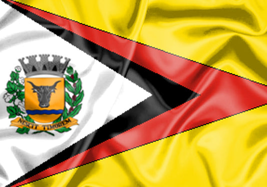 Imagem da Bandeira Bento de Abreu