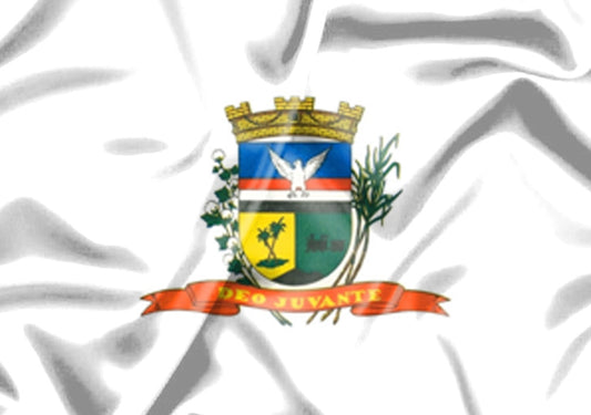Imagem da Bandeira Elias Fausto
