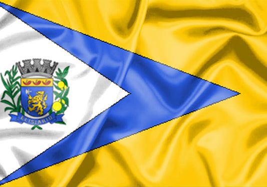 Imagem da Bandeira Elisiário
