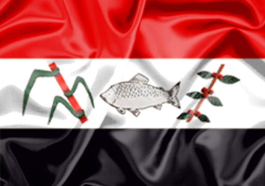 Imagem da Bandeira Pirassununga