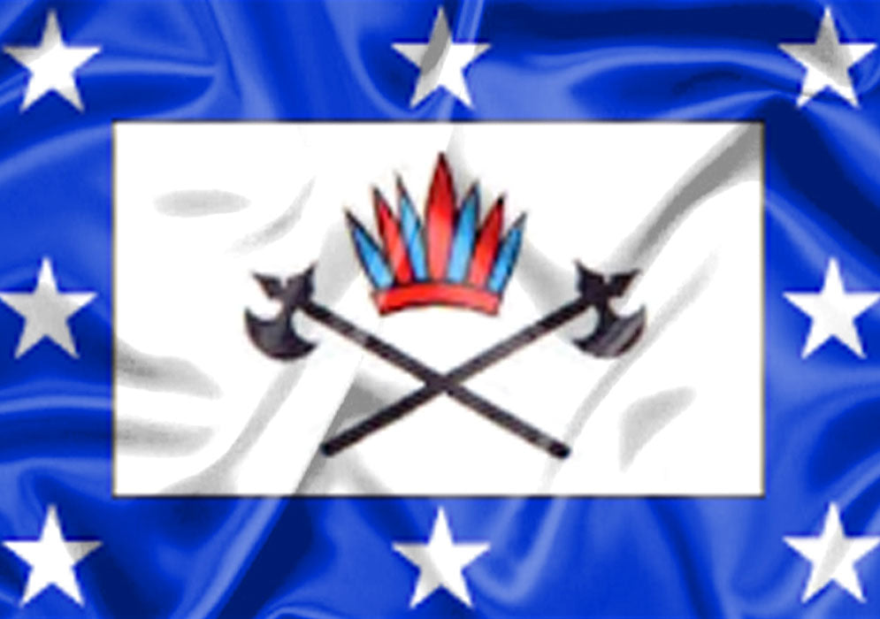 Imagem da Bandeira Pongaí