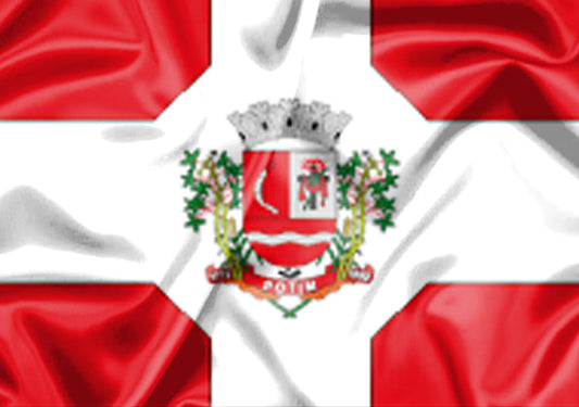 Imagem da Bandeira Potim