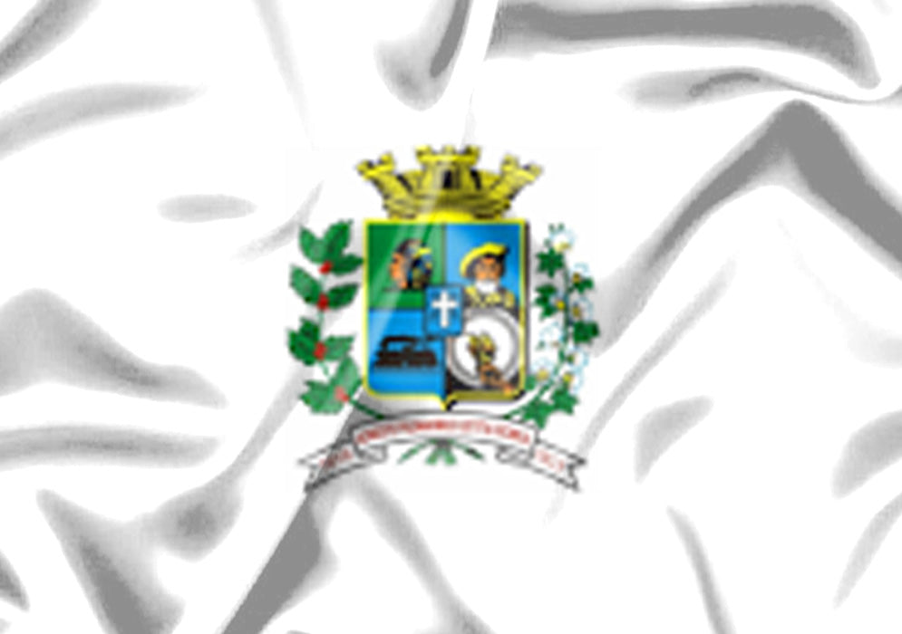 Imagem da Bandeira Promissão