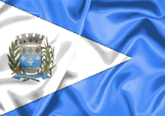 Imagem da Bandeira Reginópolis