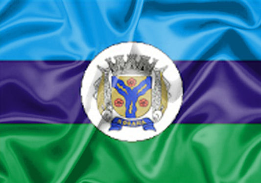 Imagem da Bandeira Rosana