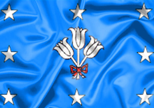 Imagem da Bandeira São José da Bela Vista