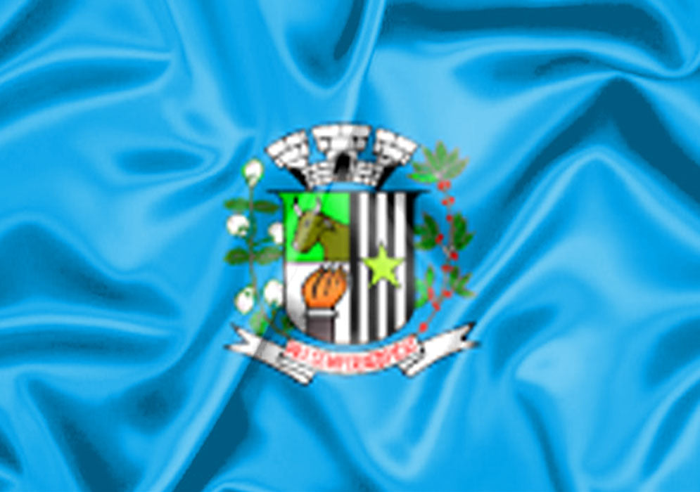 Imagem da Bandeira Sales