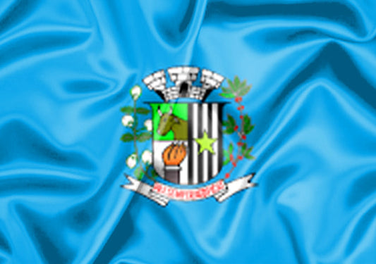 Imagem da Bandeira Sales