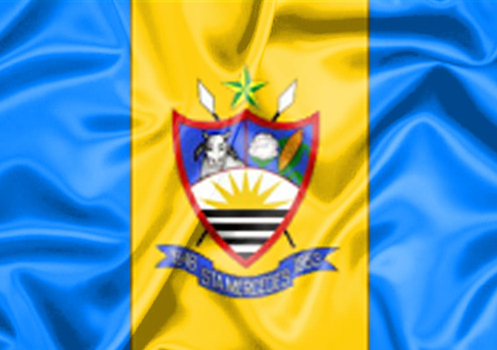 Imagem da Bandeira Santa Mercedes