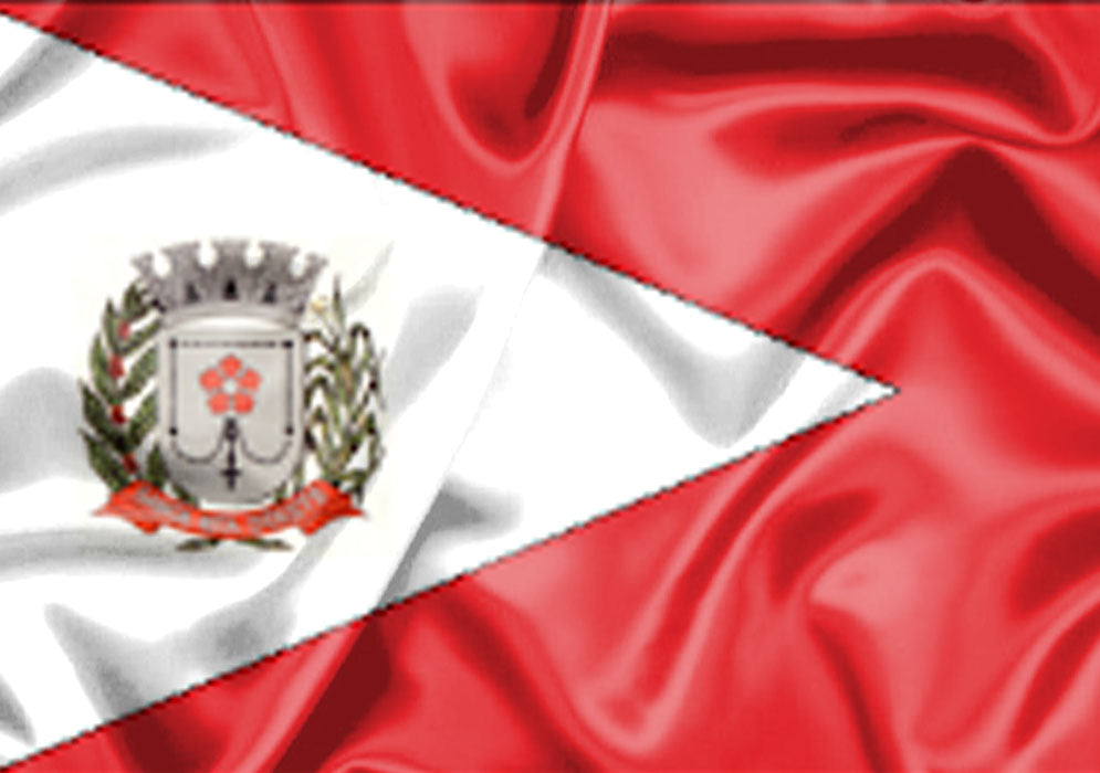 Imagem da Bandeira Santa Rita d'Oeste