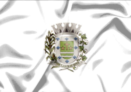 Imagem da Bandeira Sarapuí