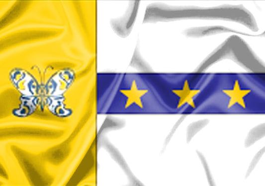 Imagem da Bandeira Tanabi