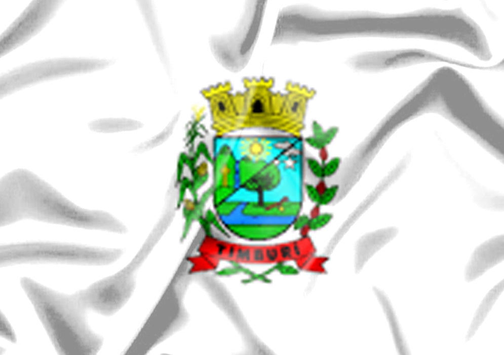 Imagem da Bandeira Timburi