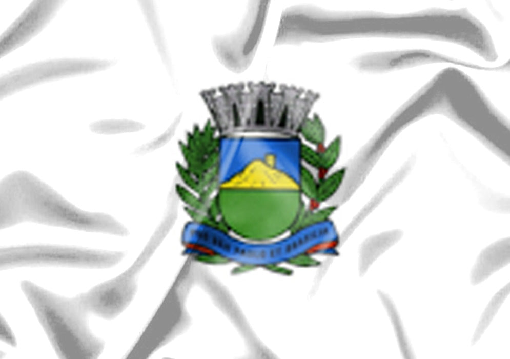 Imagem da Bandeira Torrinha