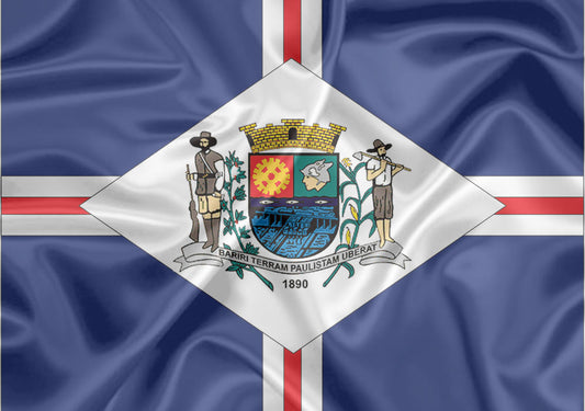 Imagem da Bandeira Bariri