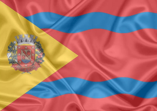 Imagem da Bandeira Brejo Alegre